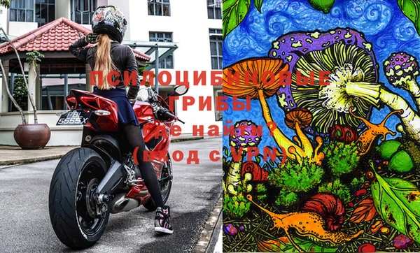 экстази Алзамай