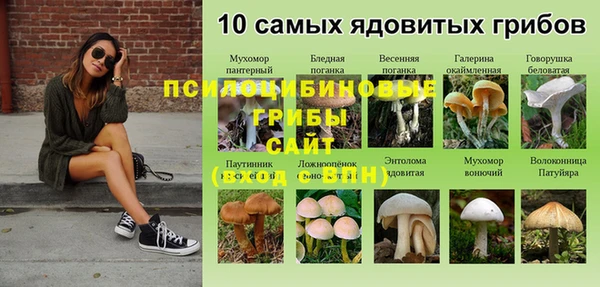 прущая мука Абдулино