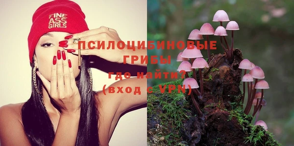 mix Алексин